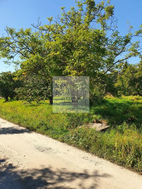 Działka budowlana Wrocław Krzyki, Jagodno, Buforowa