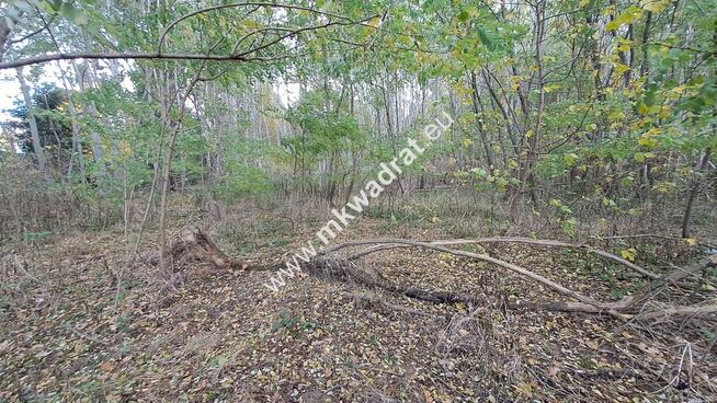 ⭐⭐⭐⭐ Pod INWESTYCJĘ, 8369 m2, pod Kampinosem ⭐⭐⭐⭐