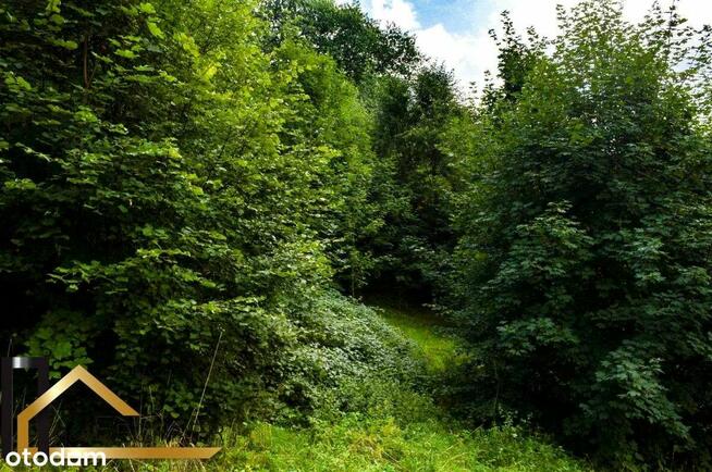 14014m2, w spokojnej części Sosnówki, widok na las