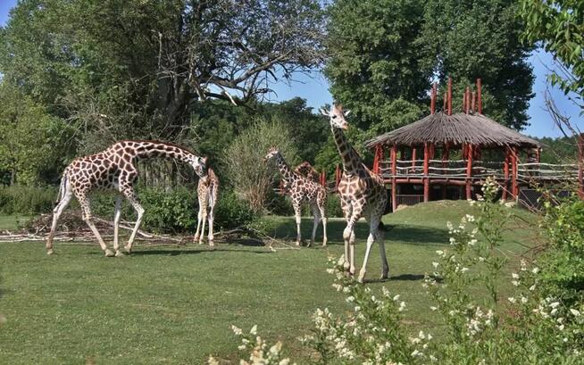 ZOO SAFARI, BROUMOV I ADRSPAH - Wyjazd z Nowego Sącza !