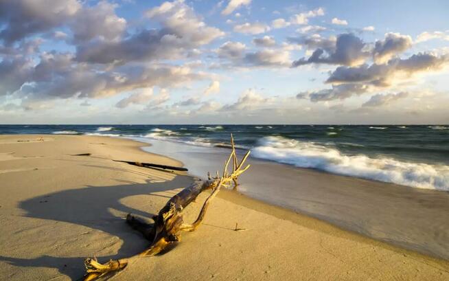 POLSKIE MORZE - POBIEROWO - Wyjazd z Nowego Sącza