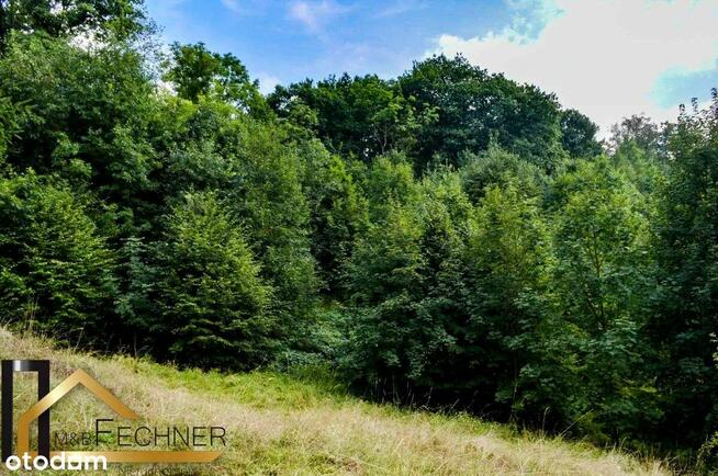 14014m2, w spokojnej części Sosnówki, widok na las