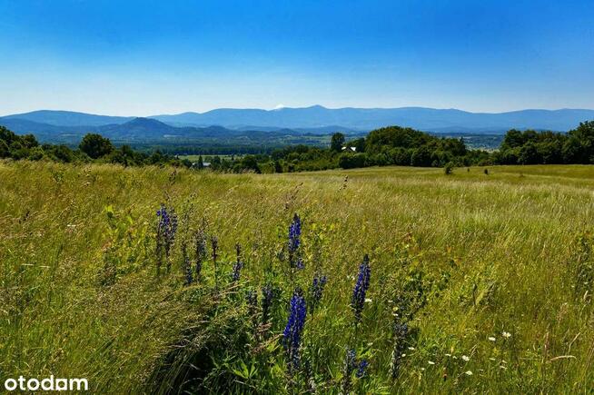 Komarno, działka z widokiem na góry, możliwość zakupu kilku