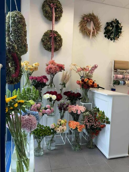 ODSTĄPIĘ / ODSPRZEDAM DZIAŁAJACĄ DOBRZE PROSPERUJĄCĄ KWIACIA