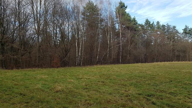 Uzbrojona działka widokowa na wzgórzu w Bieszczadach