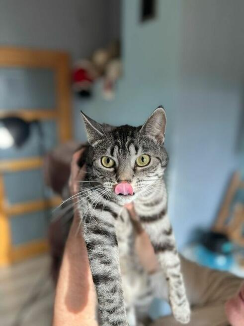 Przepiękna Pola szuka domu