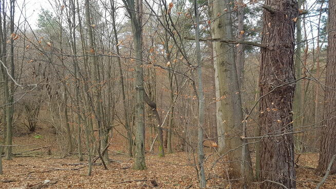 Uzbrojona działka widokowa na wzgórzu w Bieszczadach