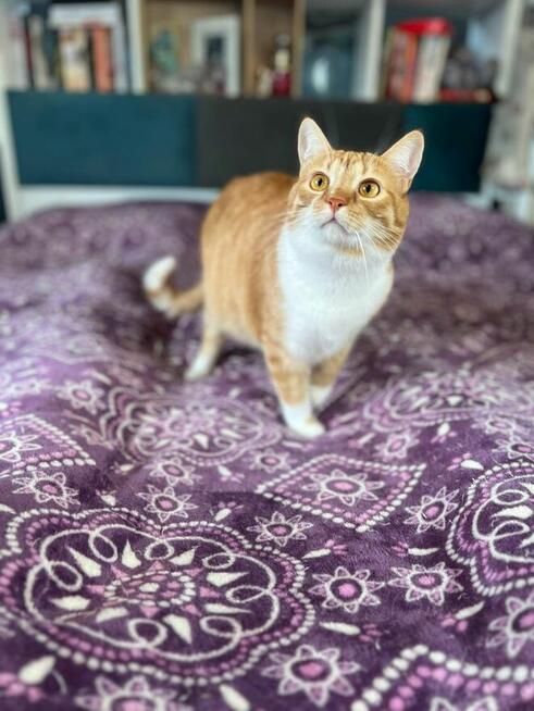 Tosia szuka swojego domu na zawsze!