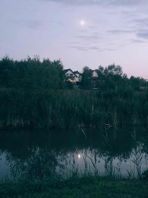 Działka 8400m2 ( obok media expert i parku handlowego)