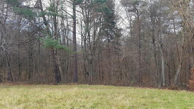 Uzbrojona działka widokowa na wzgórzu w Bieszczadach