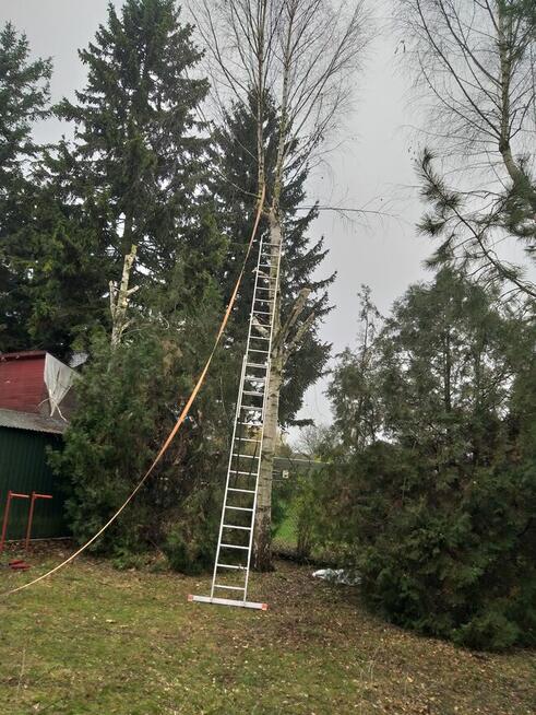 Wycinka drzew, Oczyszczanie działki, Przewóz towarów przyczep