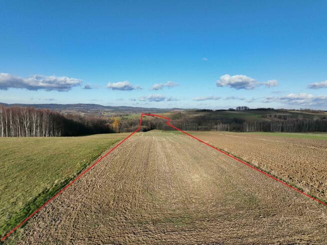 1.5 hektarowa działka w Ołpinach gm. Szerzyny