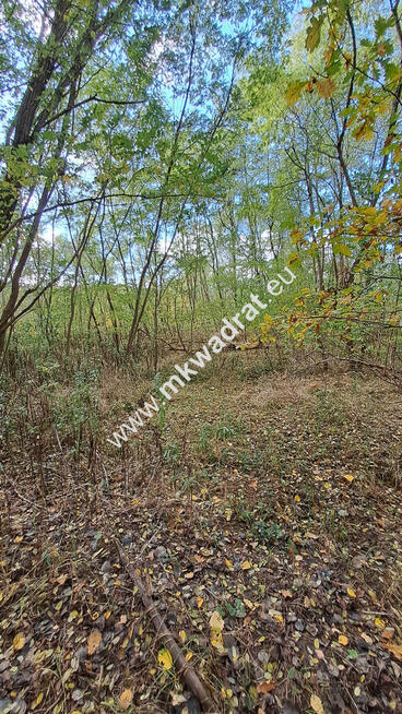 ⭐⭐⭐⭐ Pod INWESTYCJĘ, 7006 m2, pod Kampinosem ⭐⭐⭐⭐