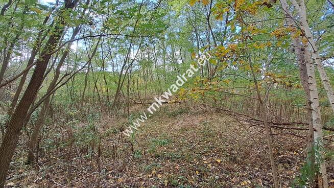 ⭐⭐⭐⭐ Pod INWESTYCJĘ, 7006 m2, pod Kampinosem ⭐⭐⭐⭐