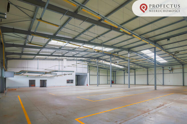 Lokal użytkowy Pruszcz Gdański