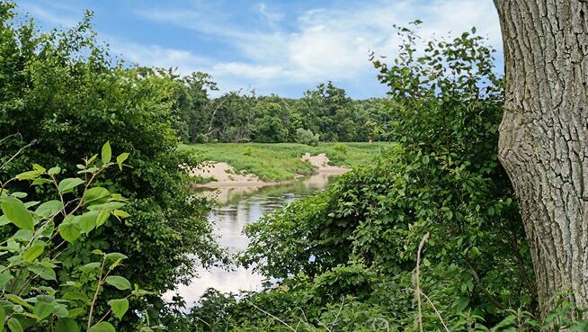 Działka usługowa Malczyce, Henryka Sienkiewicza