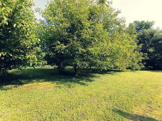 Dom na dużej działce graniczący z rz. Ciemięgą.