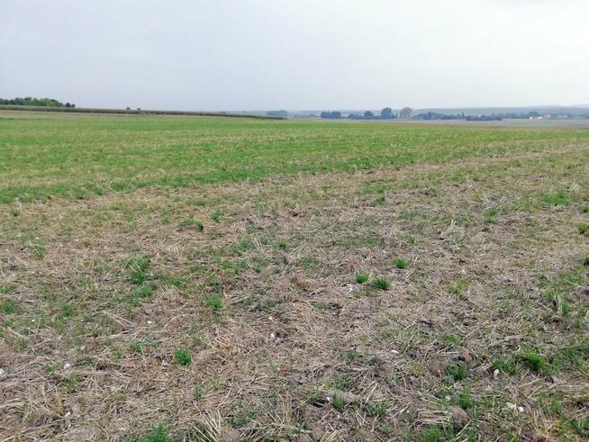 Działka inwestycyjna 4,5 ha bezpośrednio przy S12