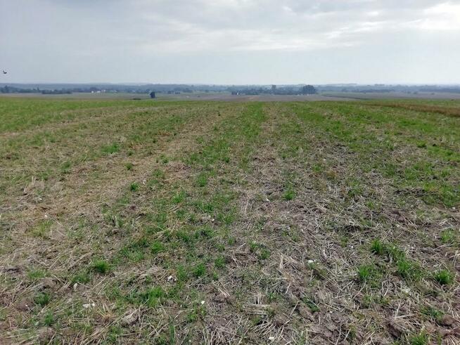 Działka inwestycyjna 4,5 ha bezpośrednio przy S12