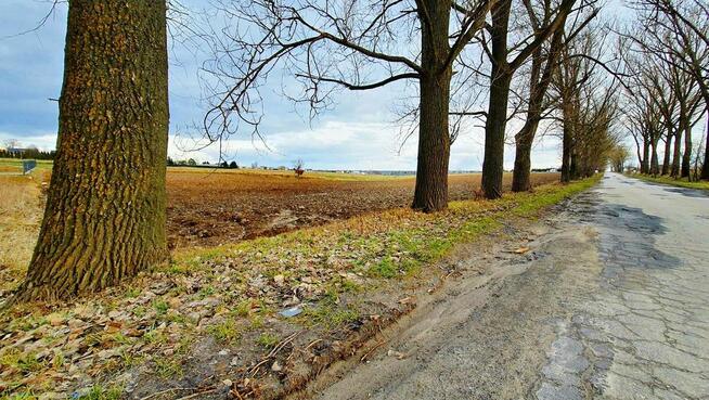 Działka inwestycyjna w Zemborzycach Kościelnych