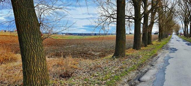 Działka inwestycyjna w Zemborzycach Kościelnych