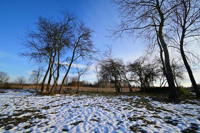 Gm. Wąwolnica - 100ar z projektem domu.