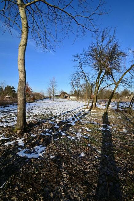 Gm. Wąwolnica - 100ar z projektem domu.