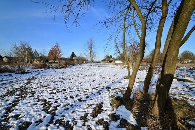 Gm. Wąwolnica - 100ar z projektem domu.