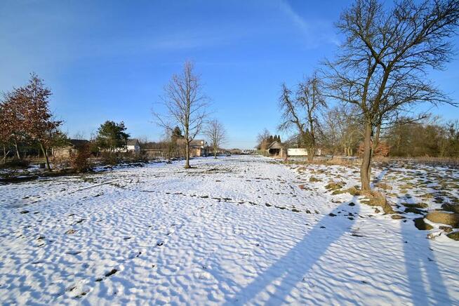 Gm. Wąwolnica - 100ar z projektem domu.