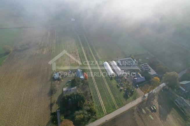 Działka budowlana Zezulin Niższy gm. Ludwin, Zezulin