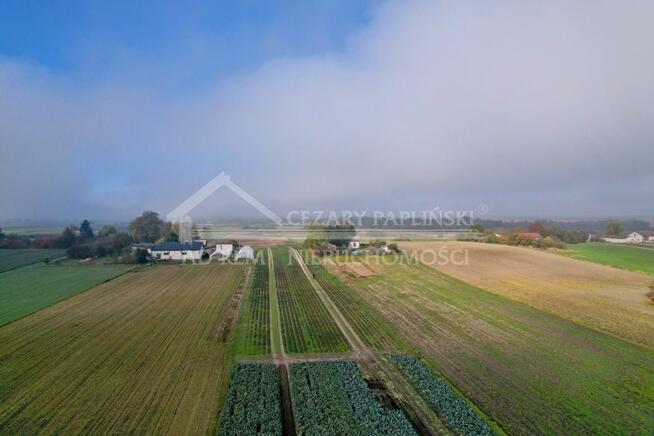 Działka budowlana Zezulin Niższy gm. Ludwin, Zezulin