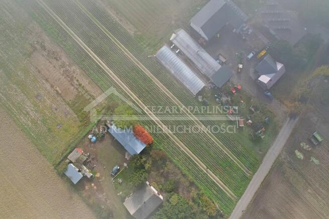 Działka budowlana Zezulin Niższy gm. Ludwin, Zezulin