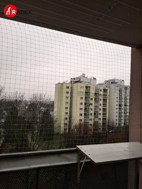 Mieszkanie 55m2 Na Wynajem, 2 Pokoje, Wyszyńskiego