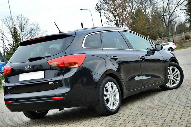 Kia Cee'd 1,6 CRDi 115Km Ledy Skóra Duża Navi Kamera Klimatronik Full Opcja