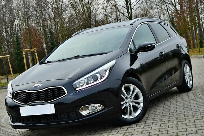 Kia Cee'd 1,6 CRDi 115Km Ledy Skóra Duża Navi Kamera Klimatronik Full Opcja