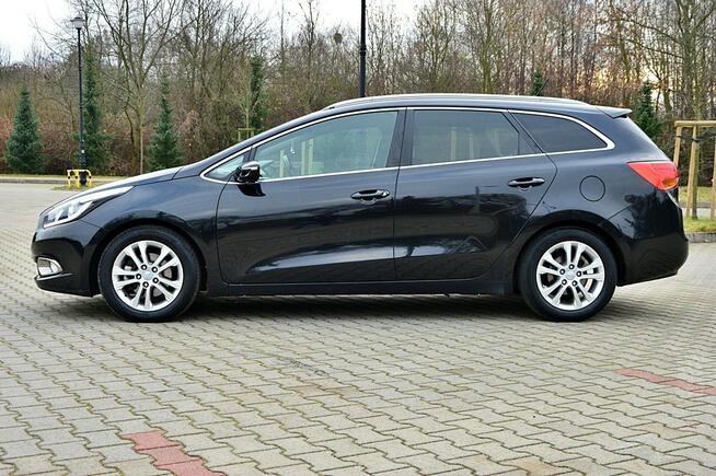 Kia Cee'd 1,6 CRDi 115Km Ledy Skóra Duża Navi Kamera Klimatronik Full Opcja