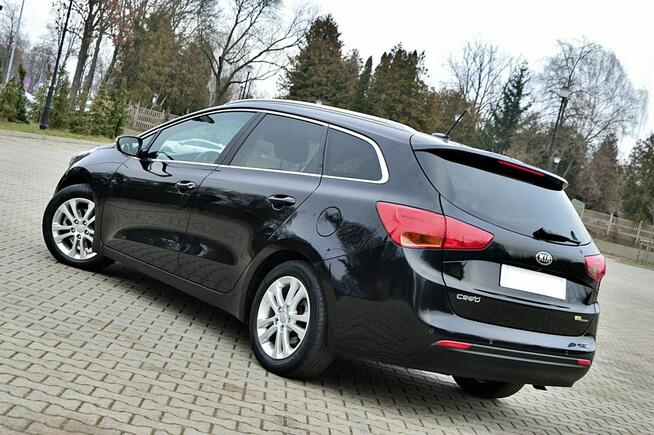 Kia Cee'd 1,6 CRDi 115Km Ledy Skóra Duża Navi Kamera Klimatronik Full Opcja