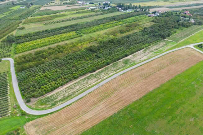 Działka rolna Marianka gm. Tarczyn