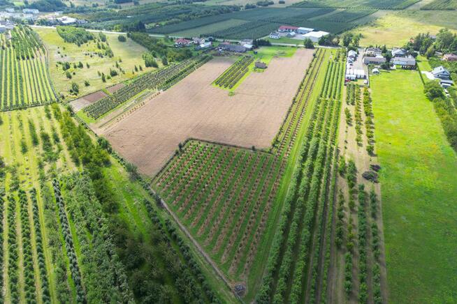 Działka gospodarstwo Marianka gm. Tarczyn, 1 Maja