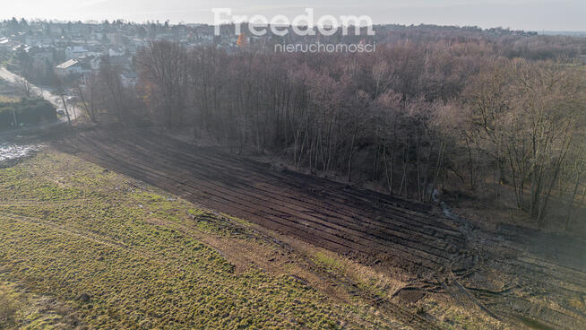 Działka budowlana przy lesie Sośnina!