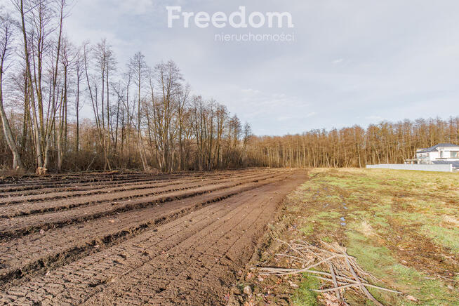 Działka budowlana przy lesie Sośnina!