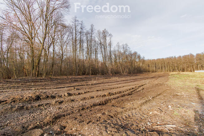 Działka budowlana przy lesie Sośnina!