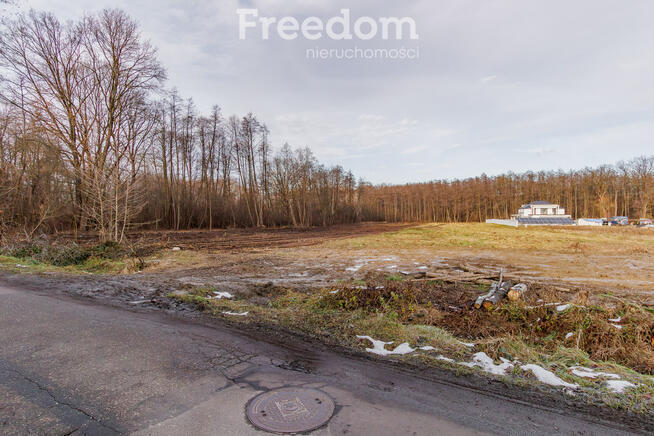 Działka budowlana przy lesie Sośnina!