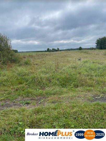 Działka rolna 6000 m² pod hodowlę i uprawy