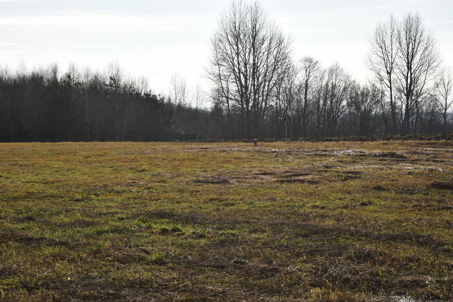 Działki budowlane 10.7a i 13.6a - gmina Chmielnik