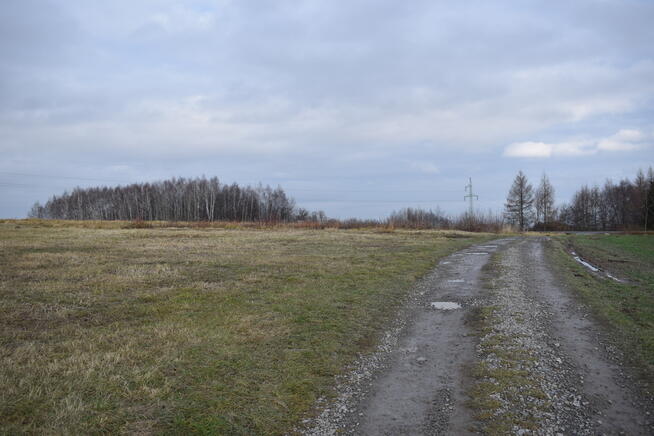 Działki budowlane 10.7a i 13.6a - gmina Chmielnik