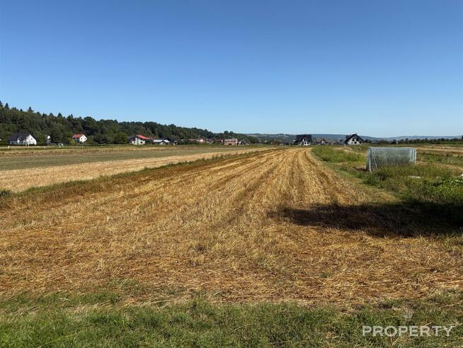 Działka inwestycyjna Podegrodzie