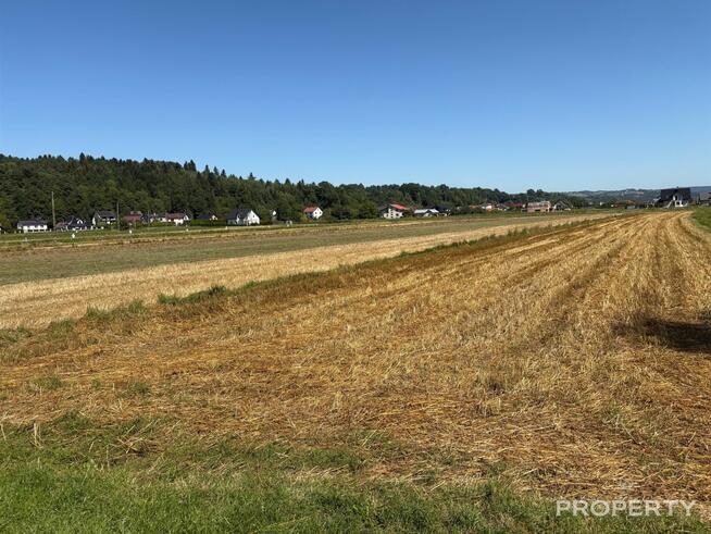 Działka inwestycyjna Podegrodzie