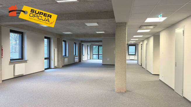 Lokal użytkowy Kraków gm. Kraków-Śródmieście Stare Miasto,