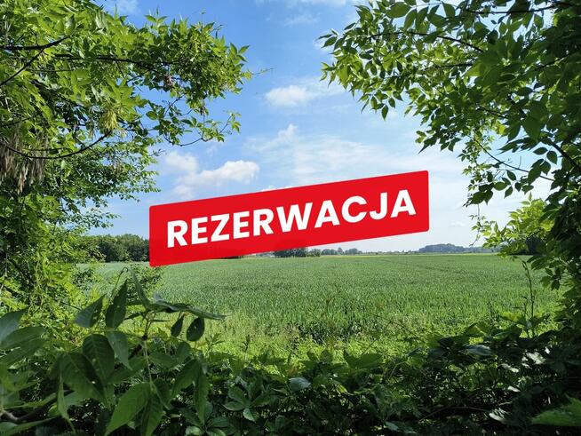 Na sprzedaż działka w Miechowicach Wielkich